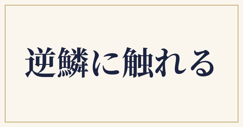 逆鱗に触れる